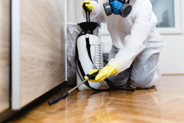 Best Residential Pest Control  in Rineyville, KY
