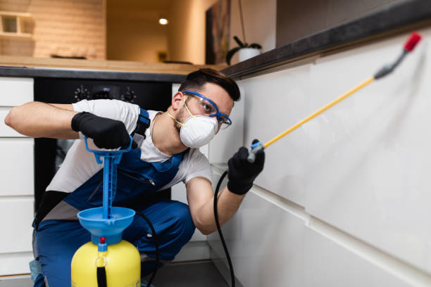 Pest Control Cost in Rineyville, KY