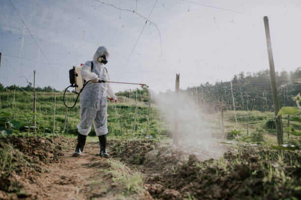 Best Pest Prevention Services  in Rineyville, KY