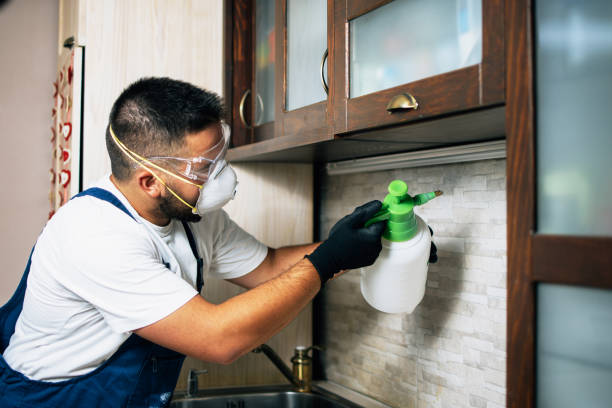 Best Best Pest Control Companies  in Rineyville, KY
