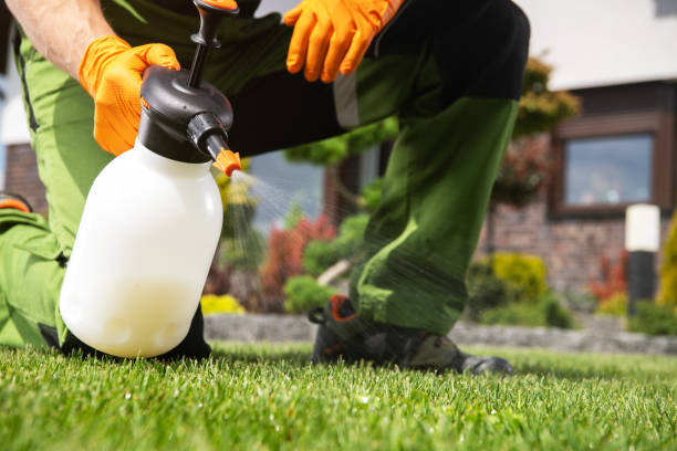 Best Affordable Pest Control Services  in Rineyville, KY