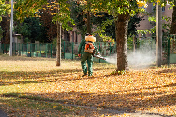 Best Pest Inspection Near Me  in Rineyville, KY
