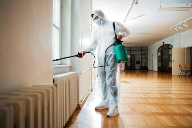 Best Bed Bug Extermination  in Rineyville, KY