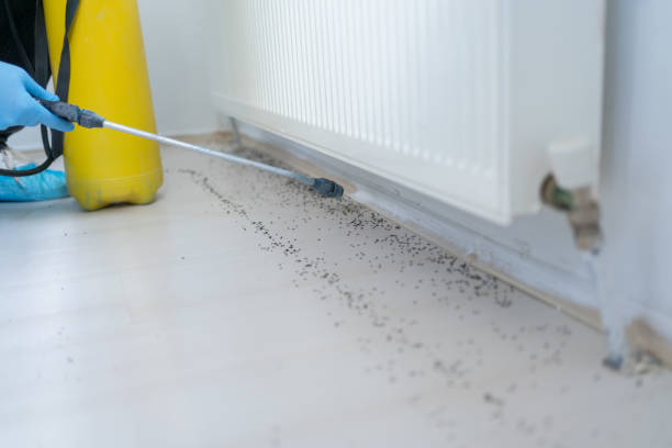 Best Pest Removal Services  in Rineyville, KY