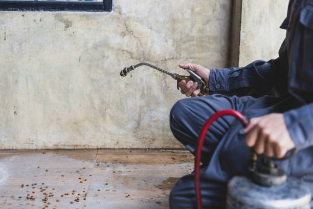 Wasp Removal Services in Rineyville, KY